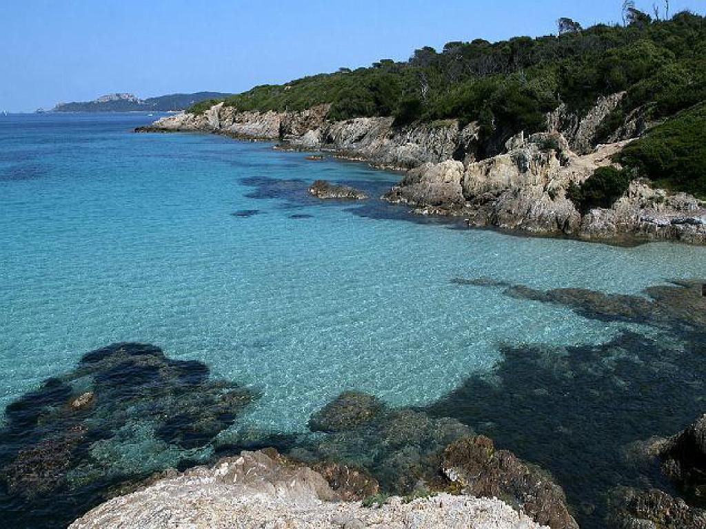 183 ILE DE PORQUEROLLES -3_000024.jpg
